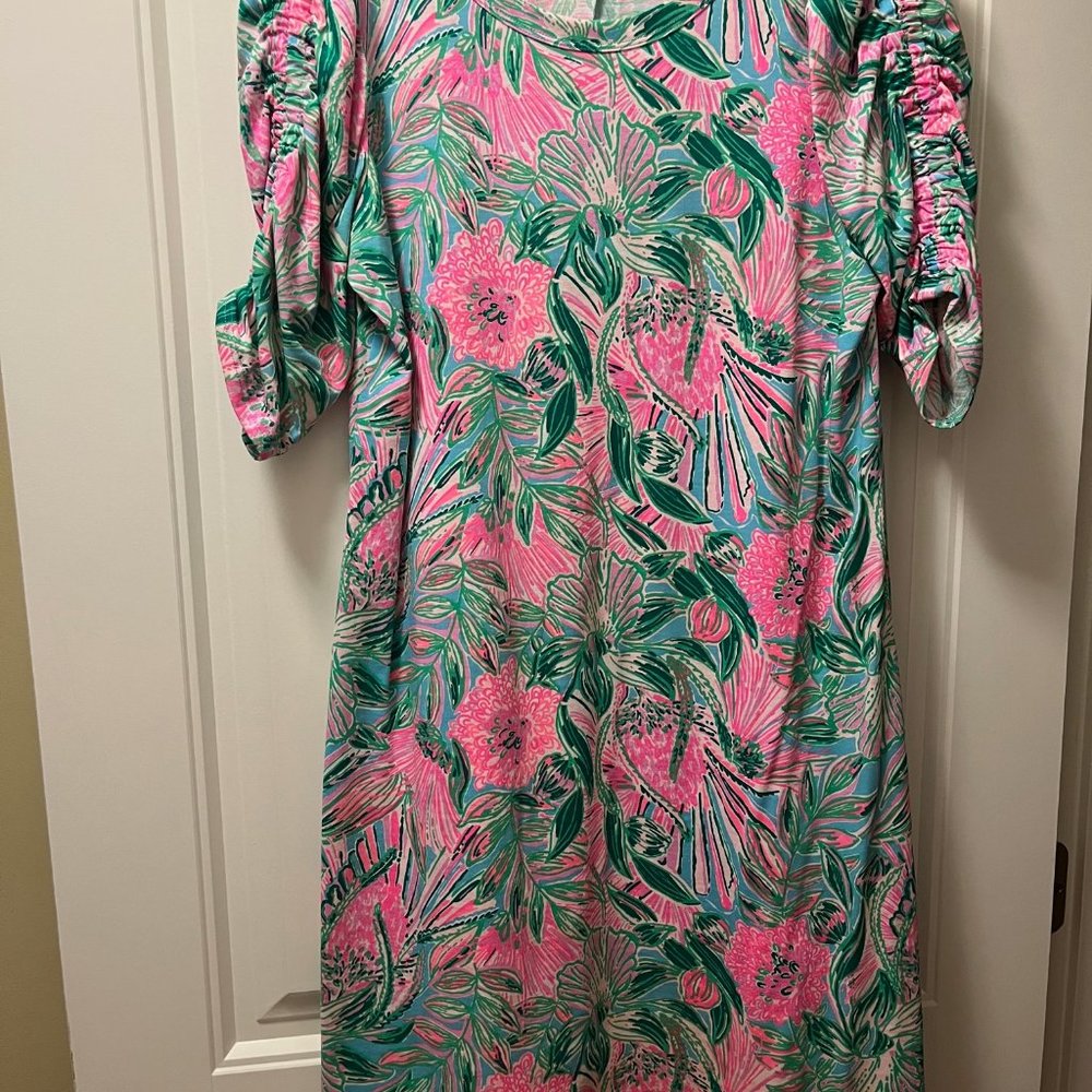 Lily Pulitzer Multicolor Large Dress